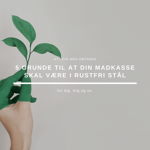 5 grunde til at din madkasse skal være i rustfri stål
