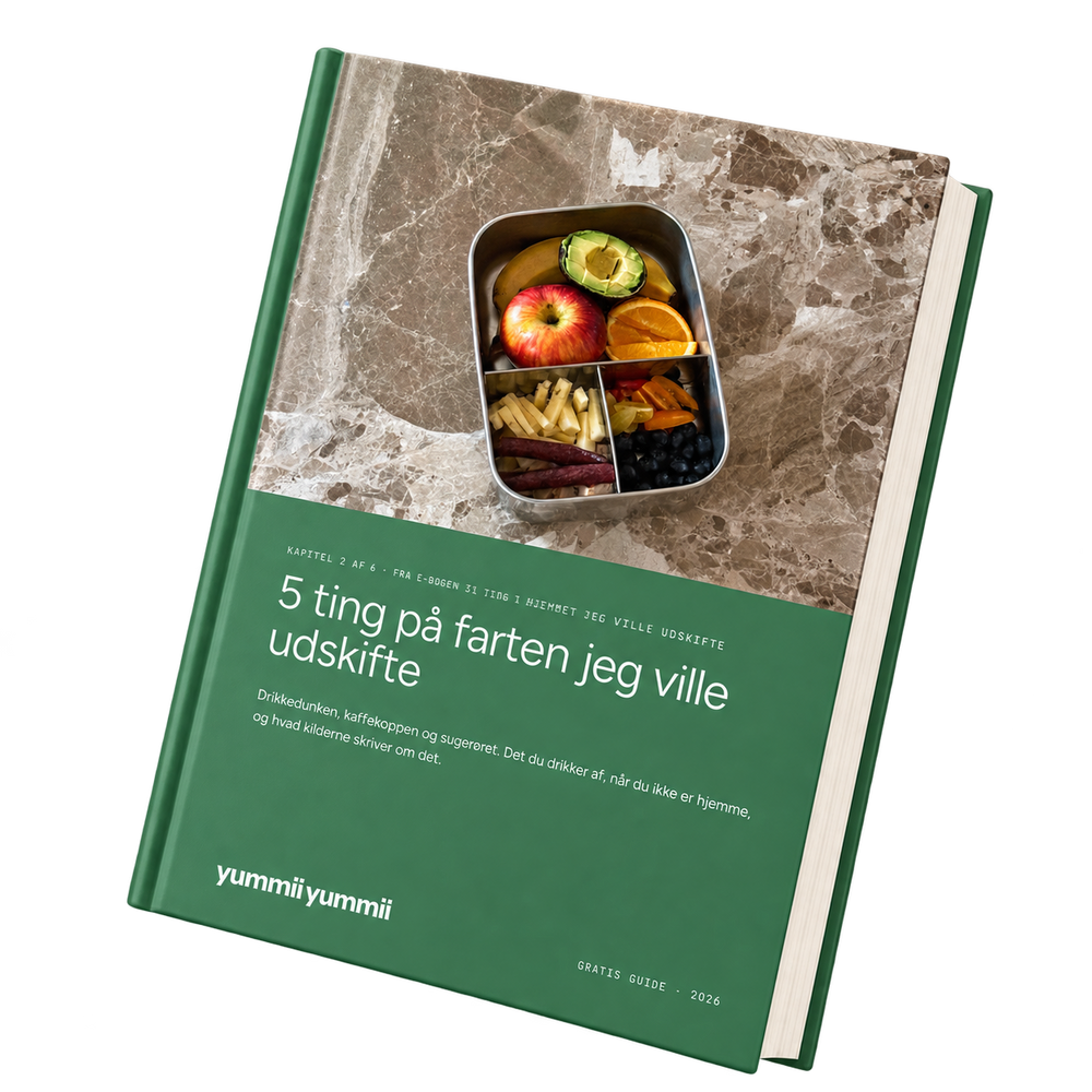 E-bogens kapitel 5 ting paa farten jeg ville udskifte
