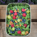 Bento Large 1 i rustfrit stål 18/8 med salat af rucola, jordbær og blåbær fra Yummii Yummii