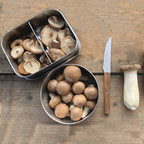 Bento Medium+ 1 i rustfrit stål 18/8 med svampe ved kniv fra Yummii Yummii