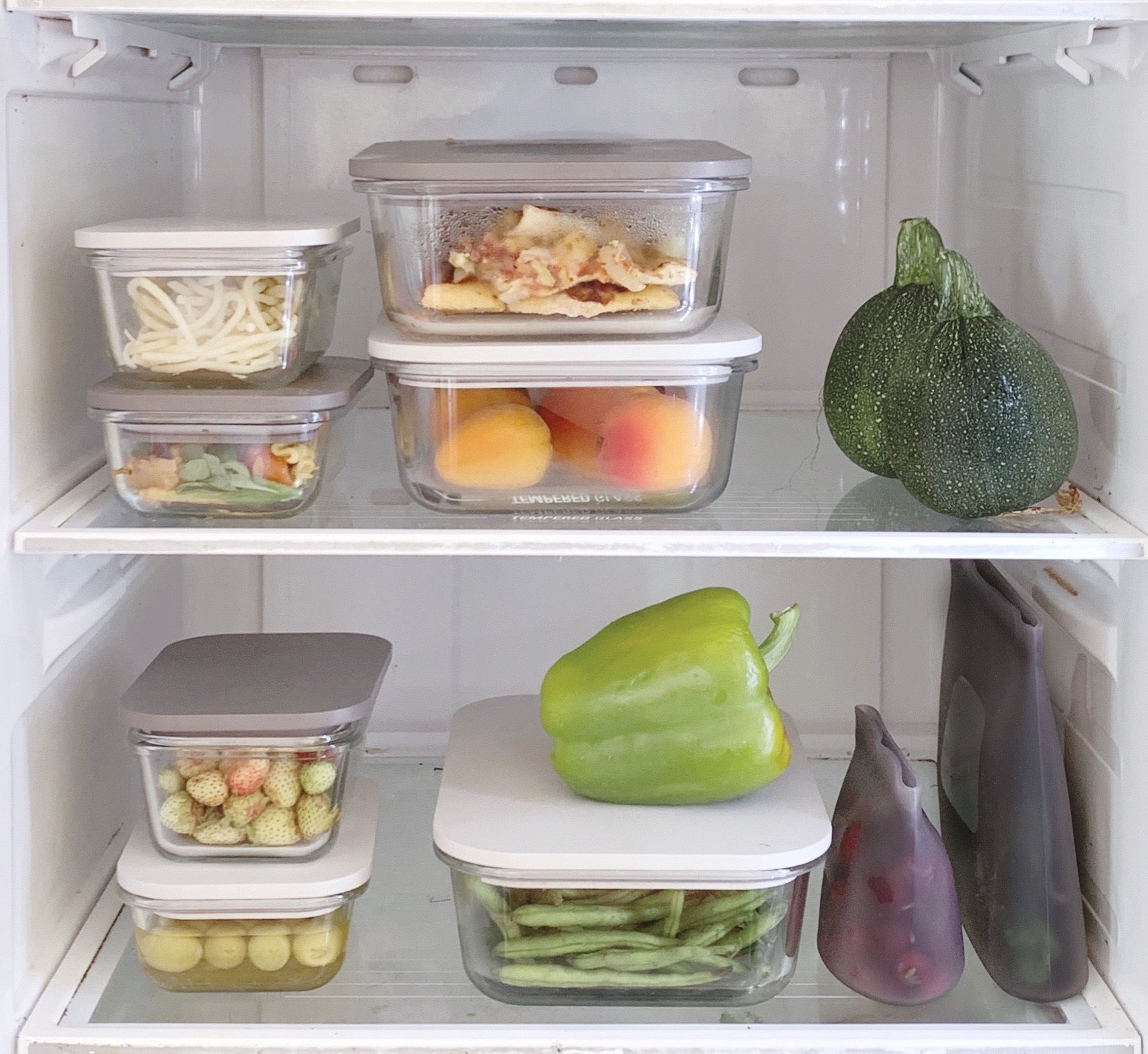 Yummii Yummii GLASS BOX SEA SHELL SMALL MEAL PREP Sea shell