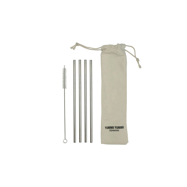 Steel straws 4-pack